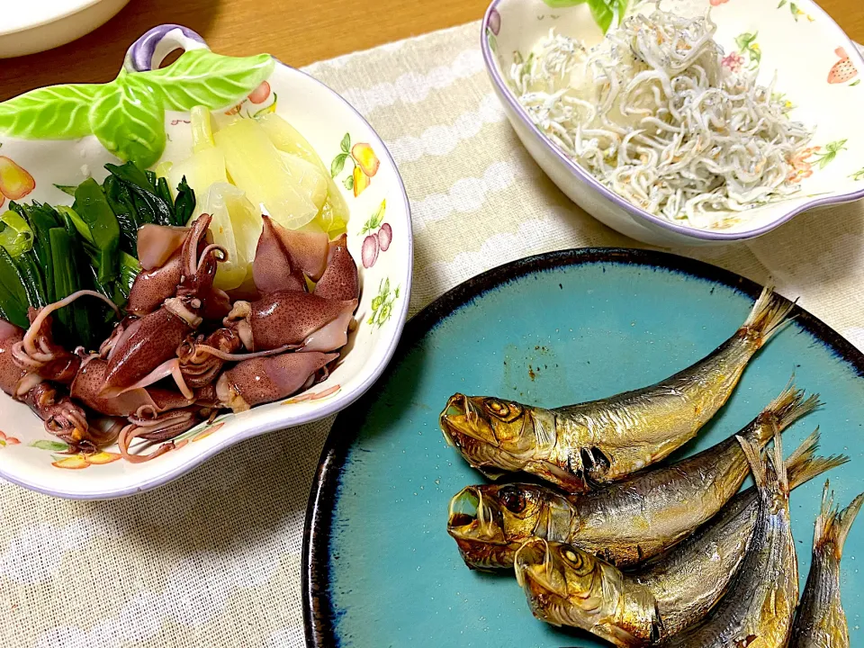 蛍烏賊とわけぎの酢味噌、じゃこおろし、ししゃも🐟|1614さん