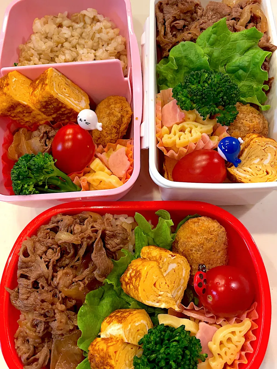 Snapdishの料理写真:牛丼弁当😚💕|Michiko Okamotoさん