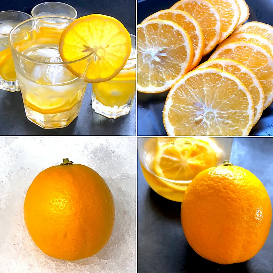 自家製レモン🍋でレモネード|ひだまり農園さん