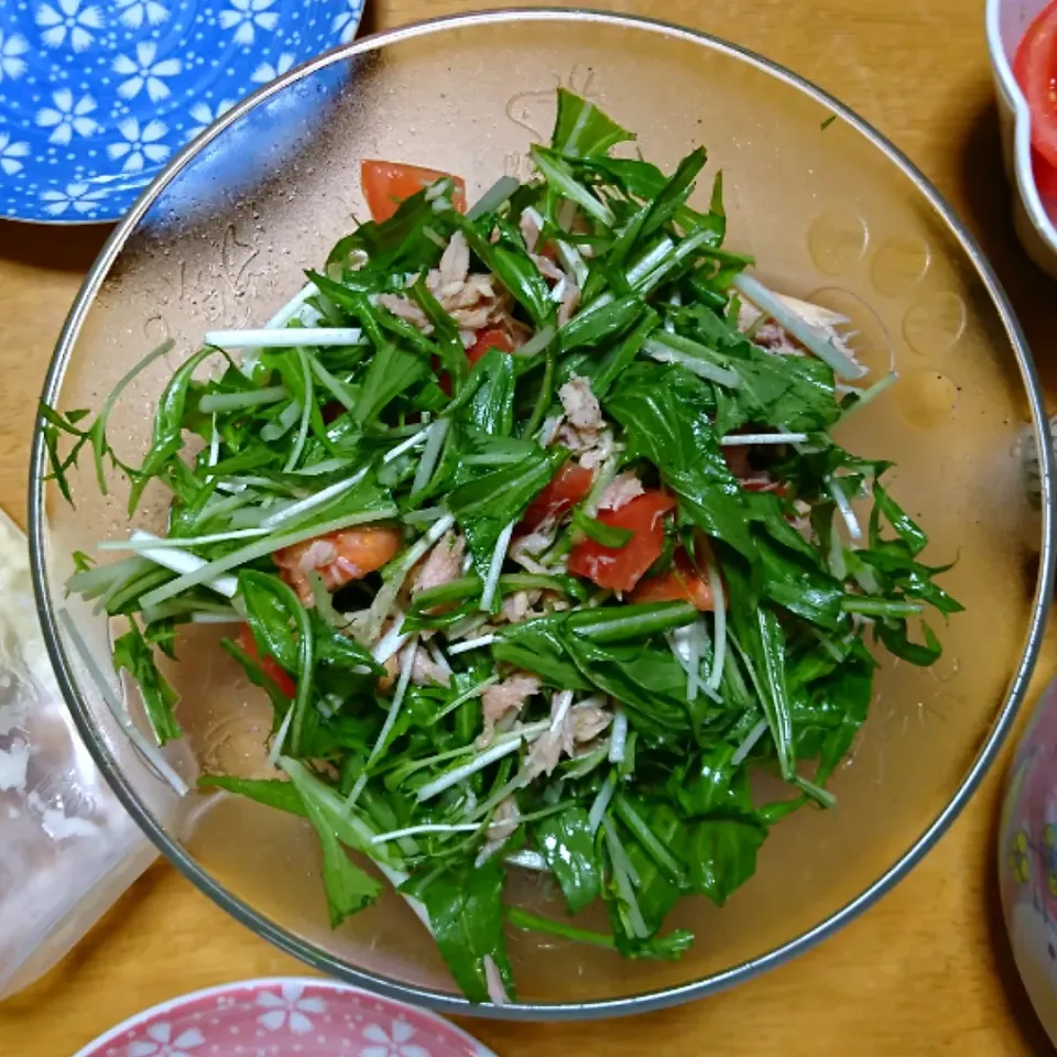 水菜のサラダ🍅|しまだ ちえこさん