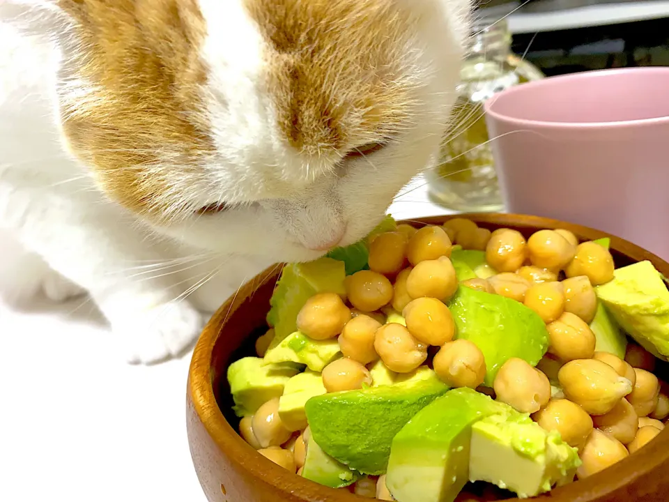 Snapdishの料理写真:アボカドとひよこ豆のサラダ🥗|lalapoさん