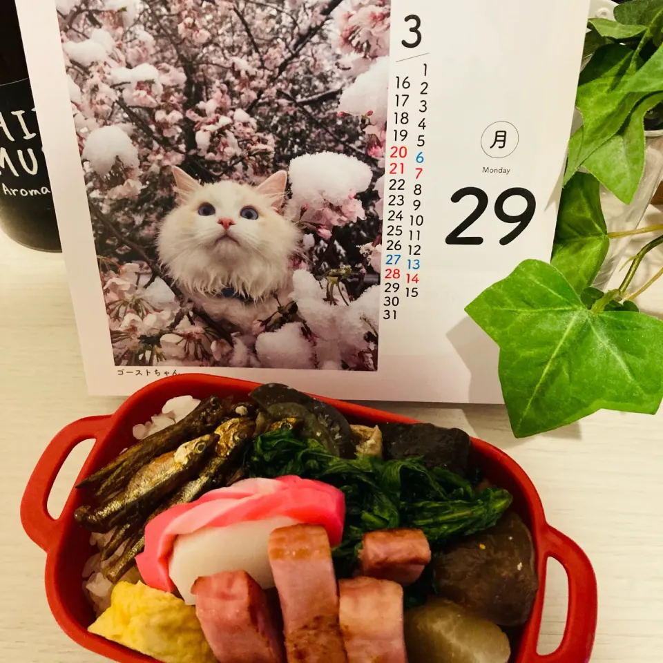 20210329🍱今日の自分弁当🍱|akiyo22さん