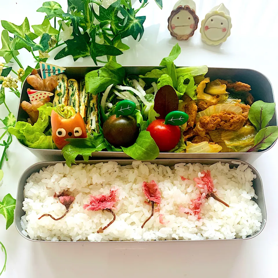 子どもお花見弁当|りんりんさん