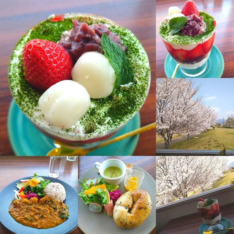 ヒルズハウス津山のベーグルブランチとスパイスベジカレー、春の和パフェ|うたかた。さん