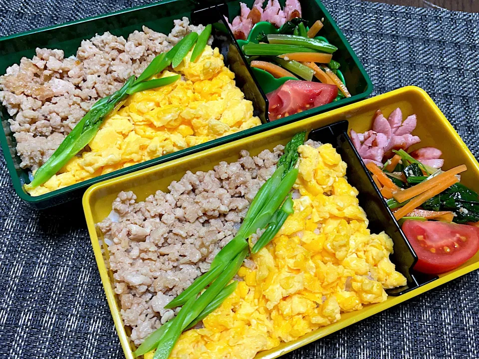 Snapdishの料理写真:鶏そぼろお弁当|mettiさん