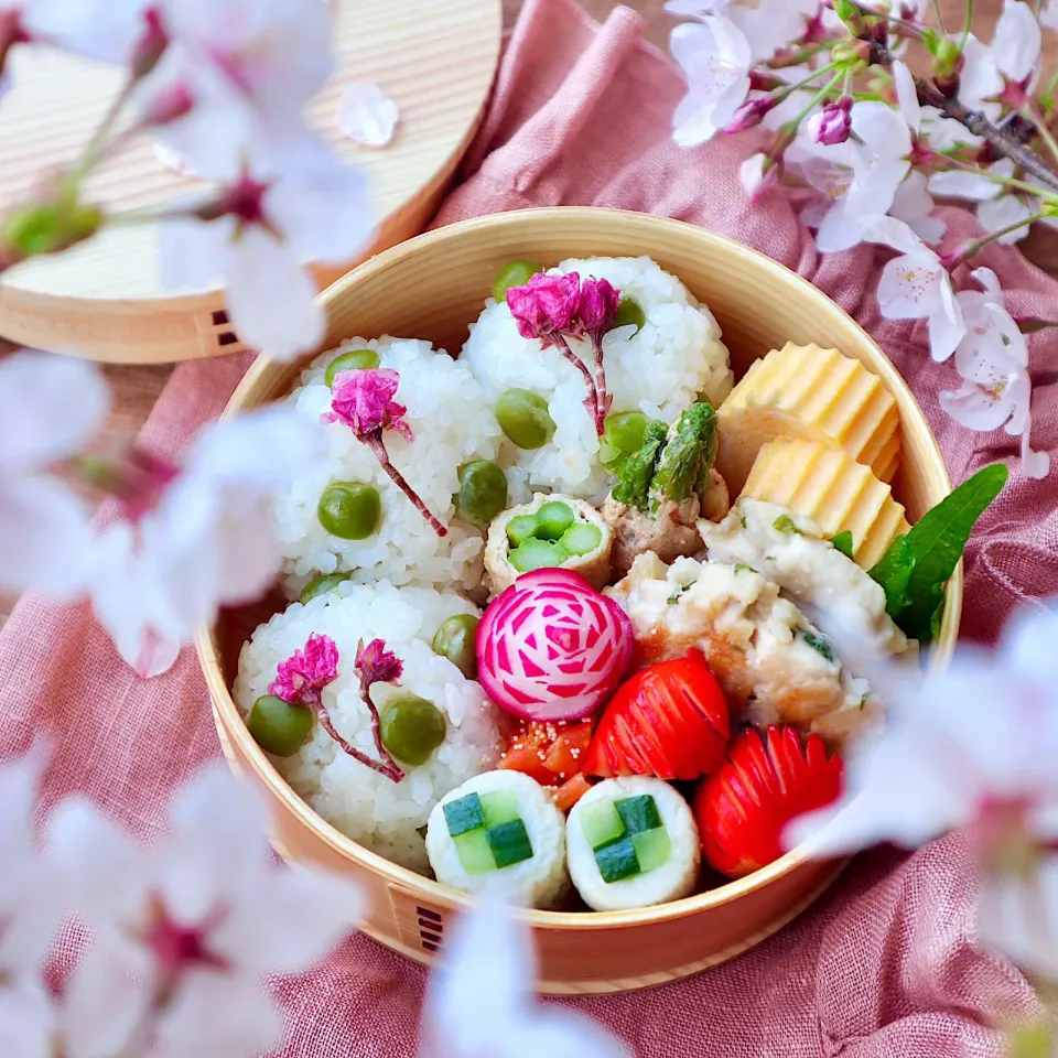 おうちお花見弁当|kiwaさん