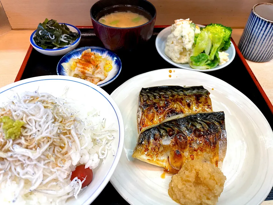 鯖塩焼きとしらす丼定食|流線形さん