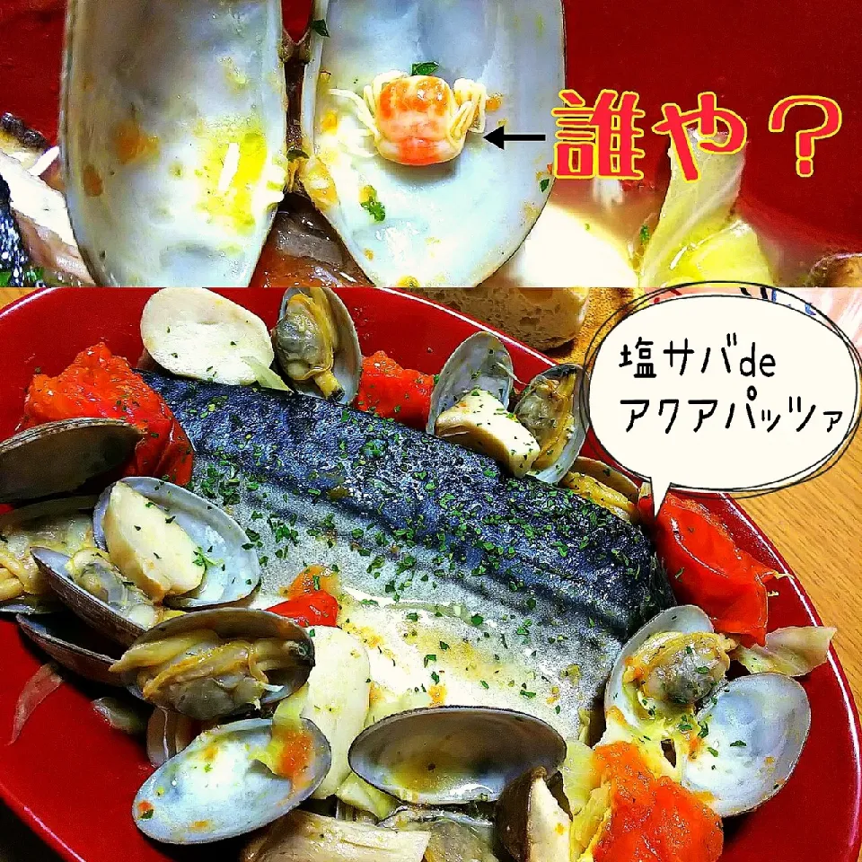 🐟️アクア鯖ッツァ🐟️
塩サバdeアクアパッツァ|ひとみんΨ(*´∀｀)Ψさん