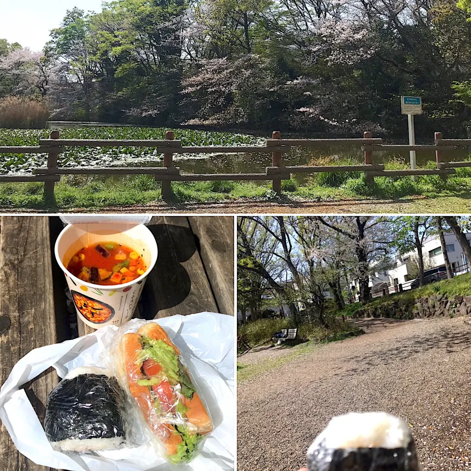 Snapdishの料理写真:花見ランチ🌸|純さん