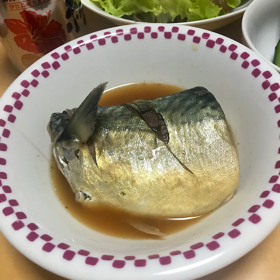 Snapdishの料理写真:単身赴任中の男飯(鯖の味噌煮)|おおもりの星さん