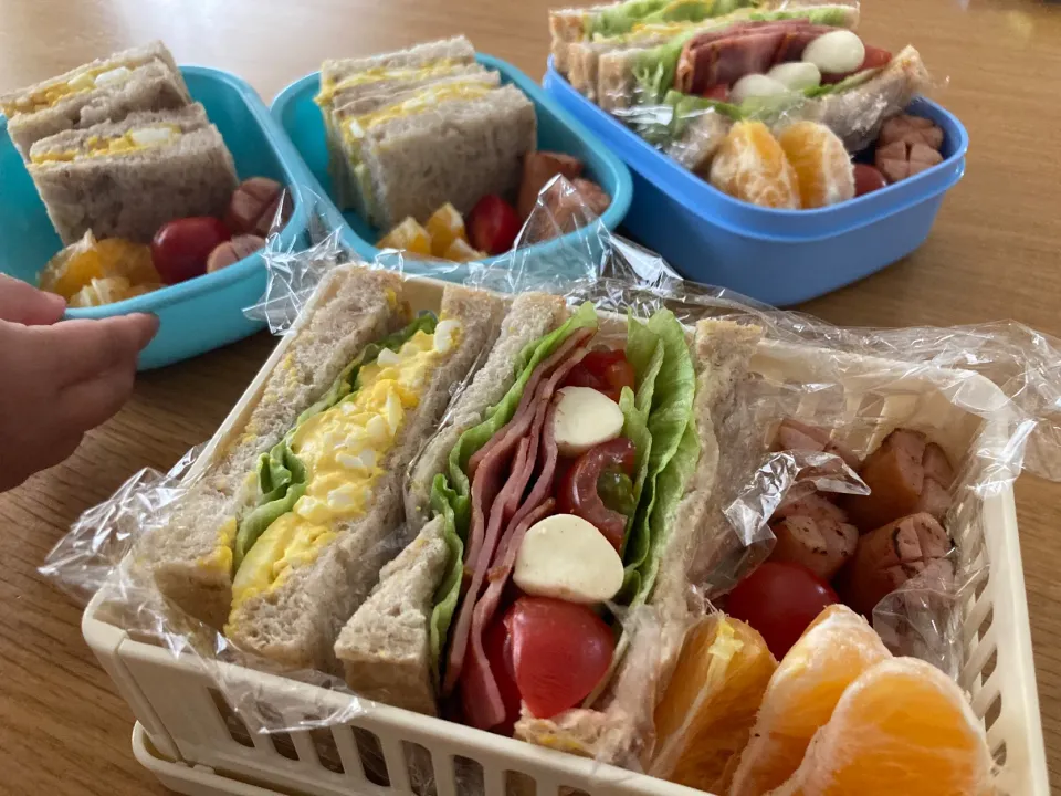 Snapdishの料理写真:＊サンドイッチ弁当🥪＊|＊抹茶＊さん