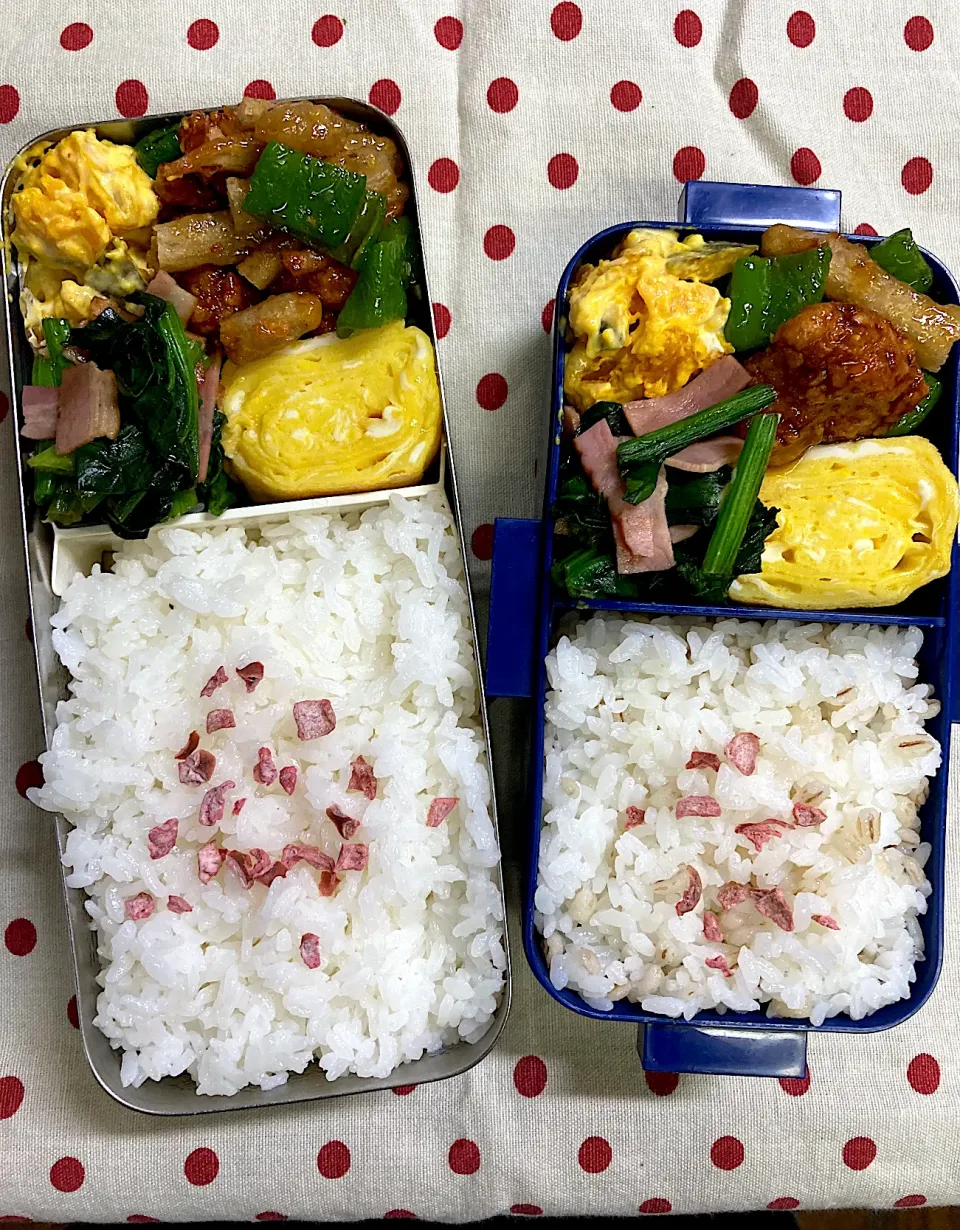 Snapdishの料理写真:4月2日　週末弁当🍱|sakuramochiさん