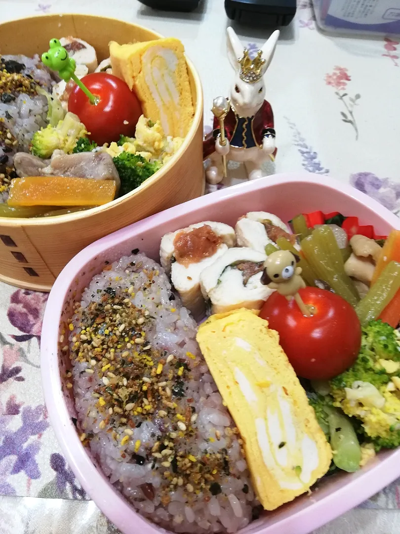 Snapdishの料理写真:''21,4/3
本日のジジババ弁当🍱|たえさん