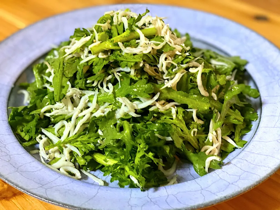 春菊としらすのナムルサラダ🥗|まめすけ。さん