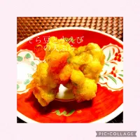 Snapdishの料理写真:そら豆と小海老の天ぷら|yugeさん