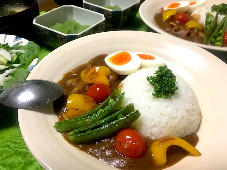 🐯主人のリクエストでカレー🍛新玉ねぎとキュウリ🥒のサラダ。刺身こんにゃく。|🐯あんこたま🐯さん