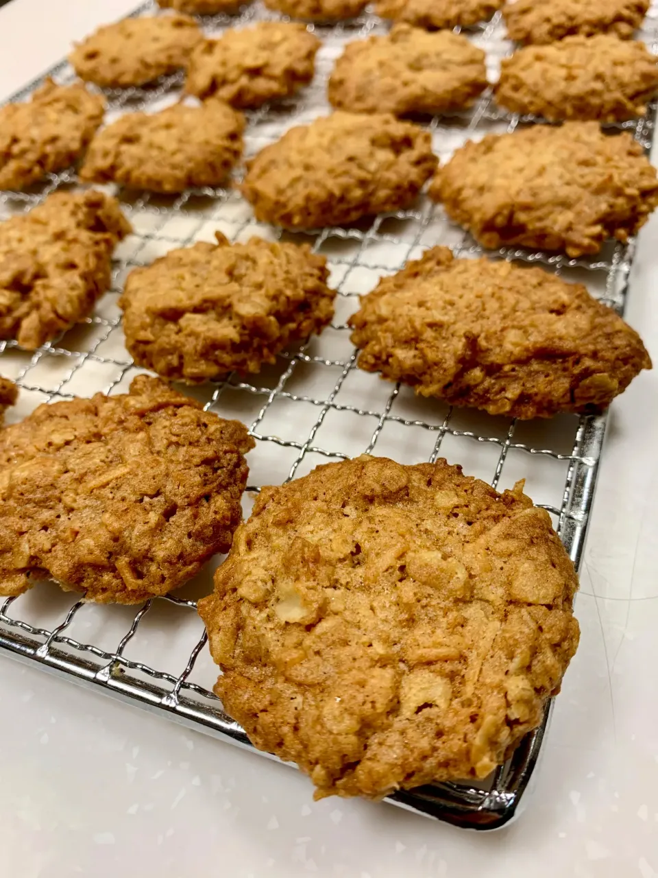 Chewy Oatmeal Cookies|gonbenさん