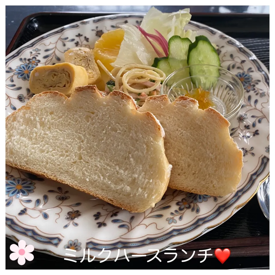 ミルクハースランチ❤️|いのっちさん