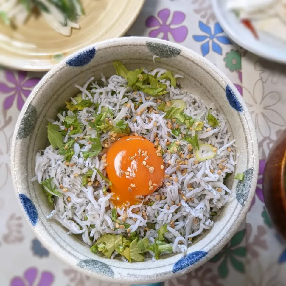 しらす丼|ヒカリーさん