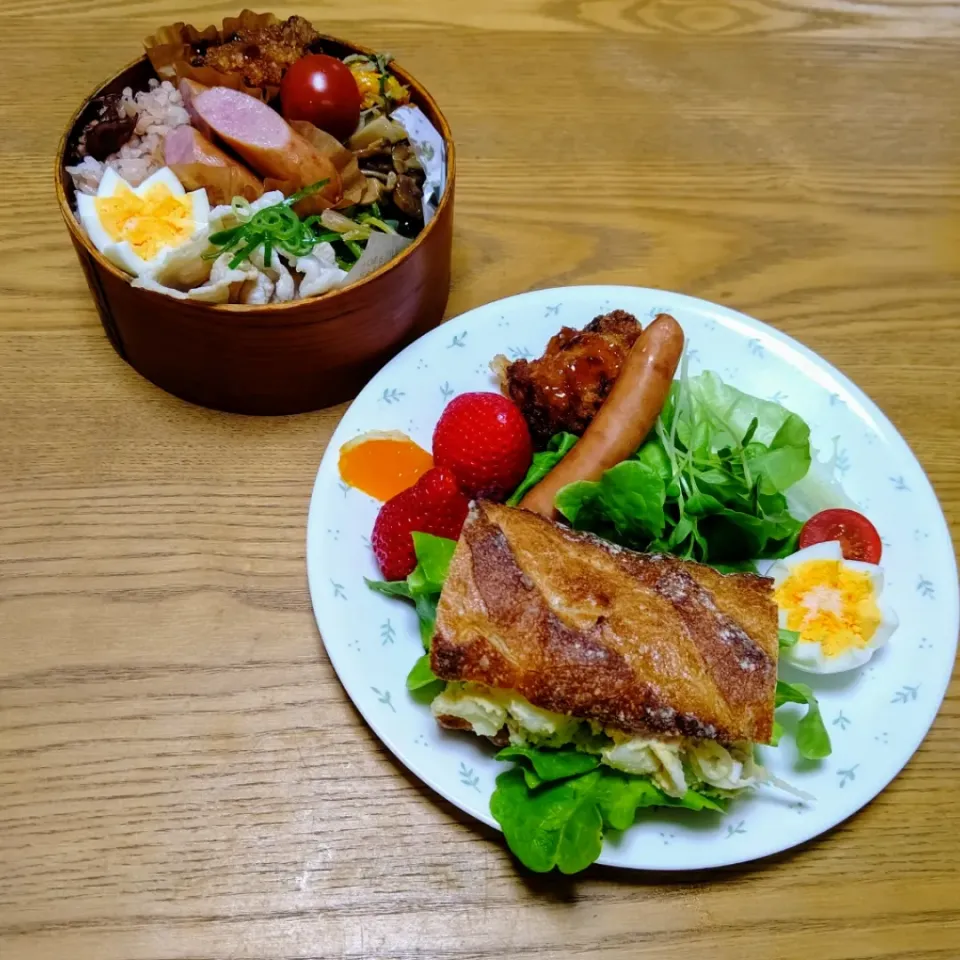 『私とボンの朝ごはん&私のお弁当』|seri-chanさん