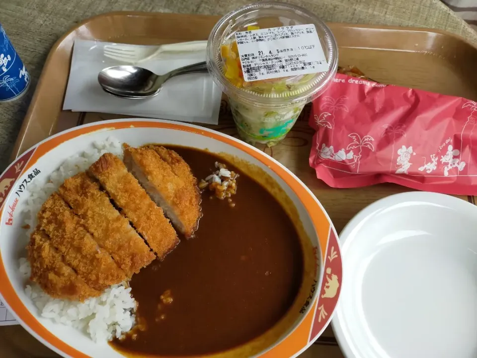 ディズニーランドでカツカレー|フージさん