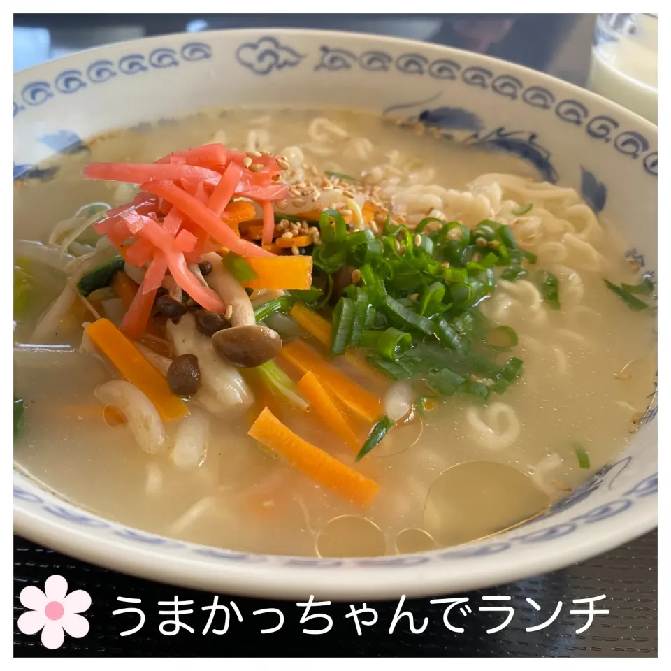 Snapdishの料理写真:うまかっちゃんでランチ|いのっちさん