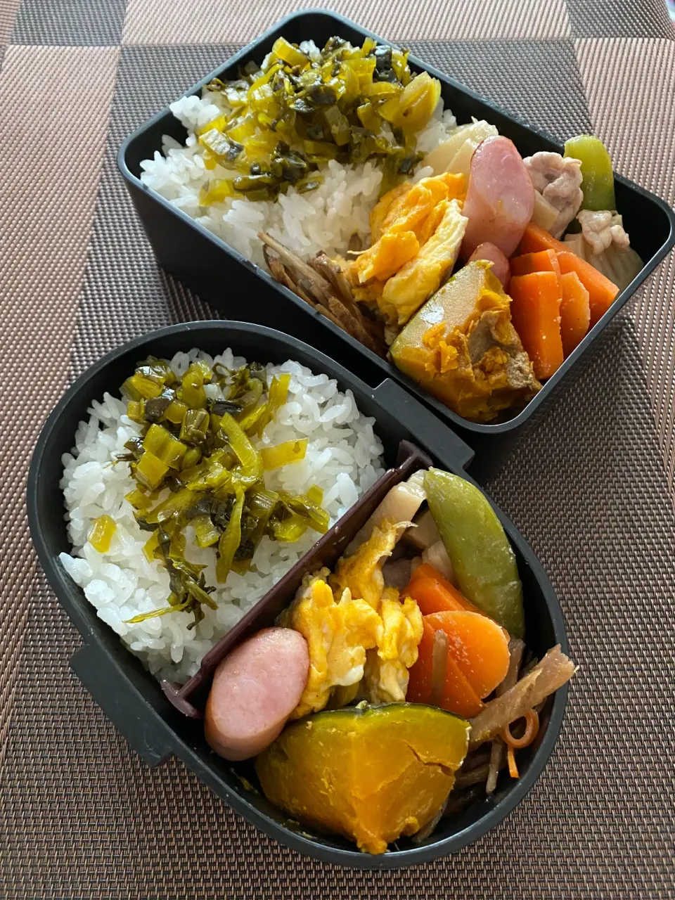 Snapdishの料理写真:高菜弁当|aru_sakazakさん