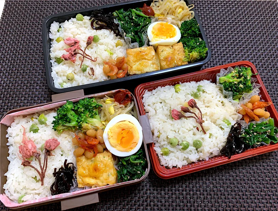 桜の豆ごはん弁当🌸|kiusoudaiさん