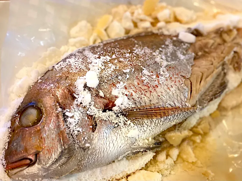 鯛の塩焼き|ふくすけ食堂さん