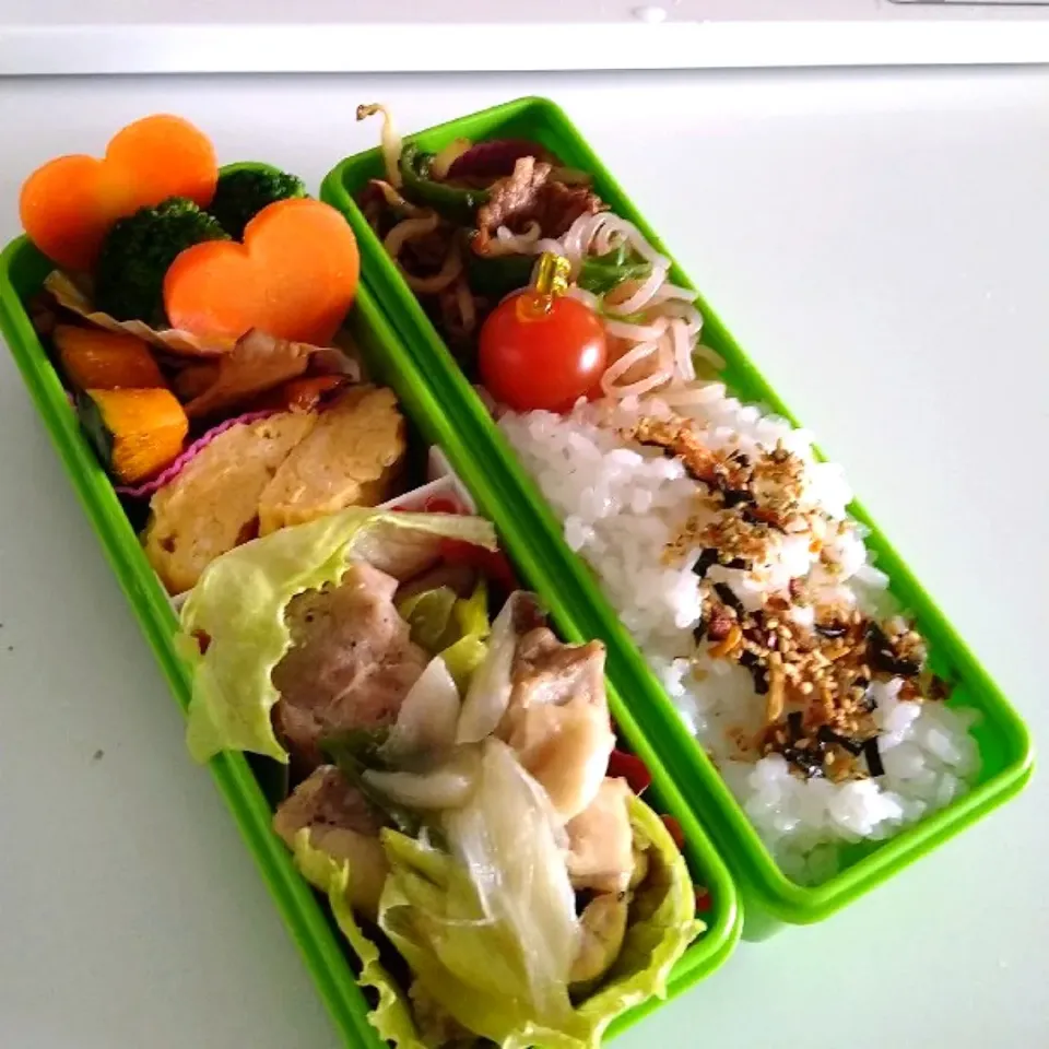 4/6鶏ネギ弁当|Reikoさん