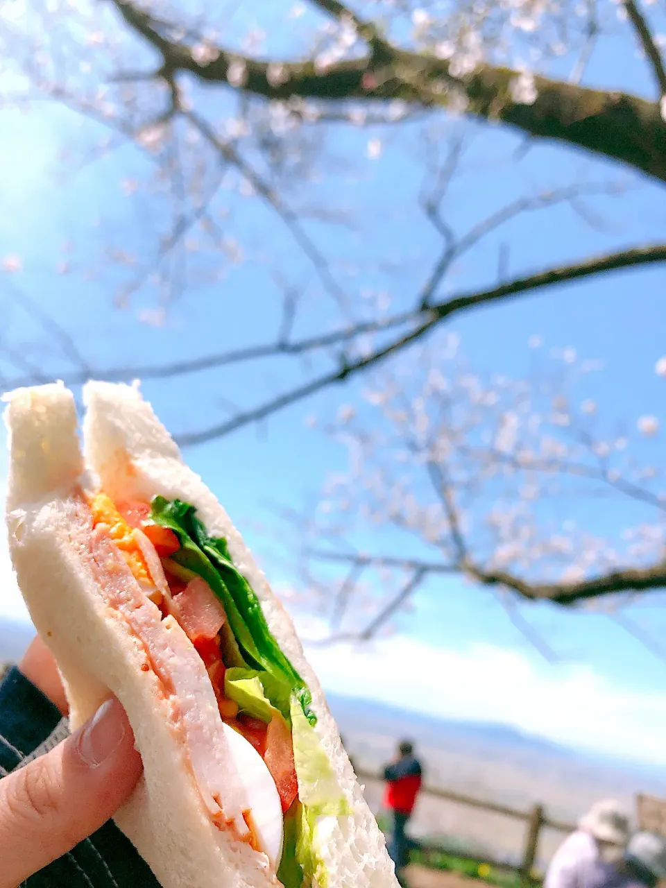 Snapdishの料理写真:何とか間に合った桜の木下でサンド🌸|Perritoさん