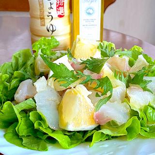 ヒラメ マリネのレシピと料理アイディア51件 Snapdish スナップディッシュ