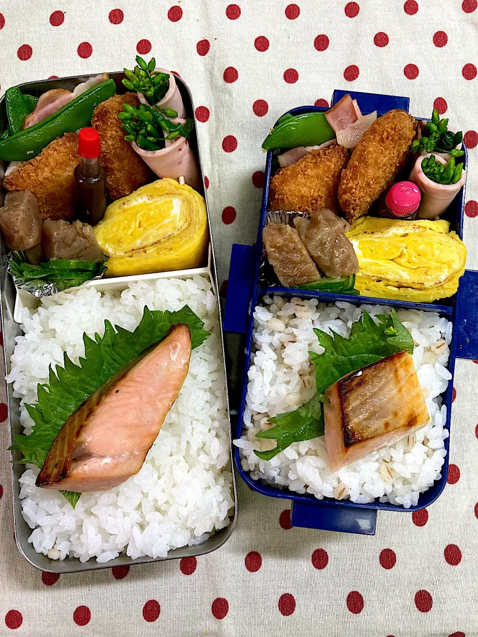 Snapdishの料理写真:4月8日　今日も晴天弁当🍱|sakuramochiさん