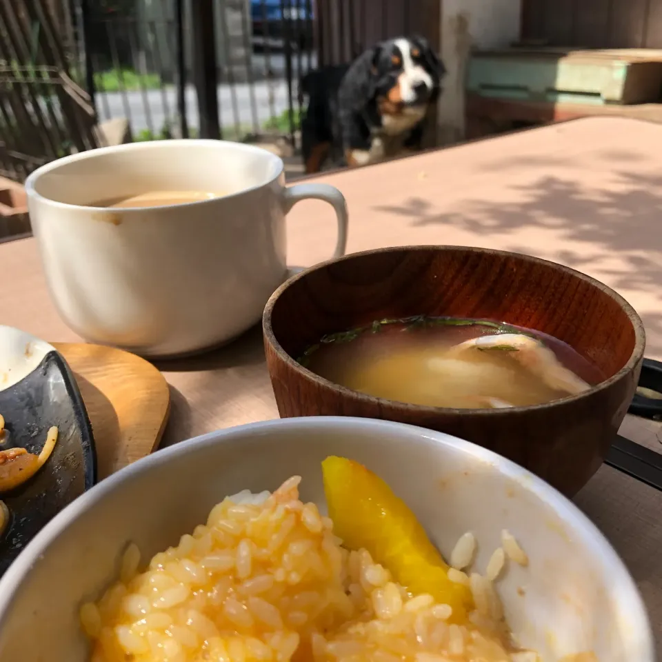 TKGの朝ご飯|ミカさん