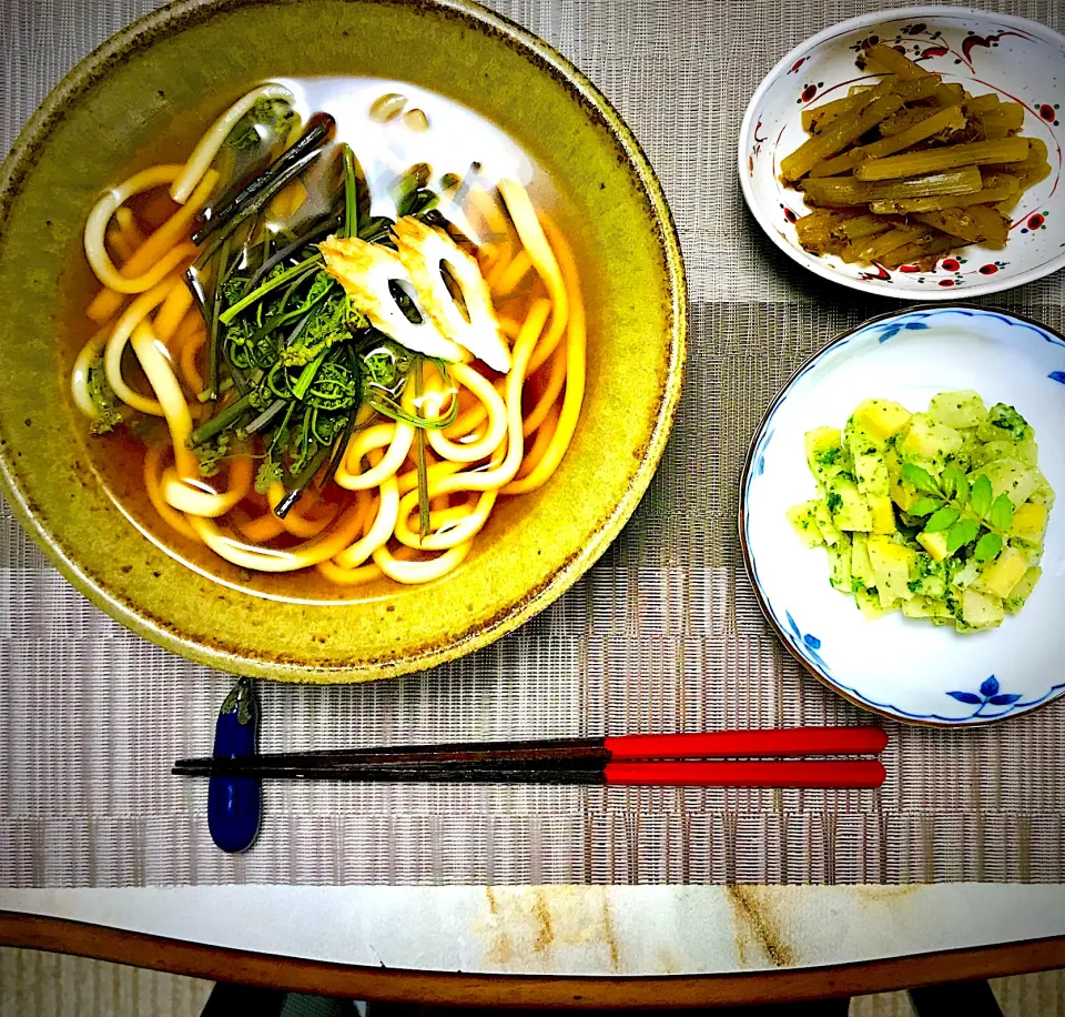 Snapdishの料理写真:山菜うどん定食💚お母さんのためのお昼ご飯💚✨✨✨😋👍💛|イチロッタさん