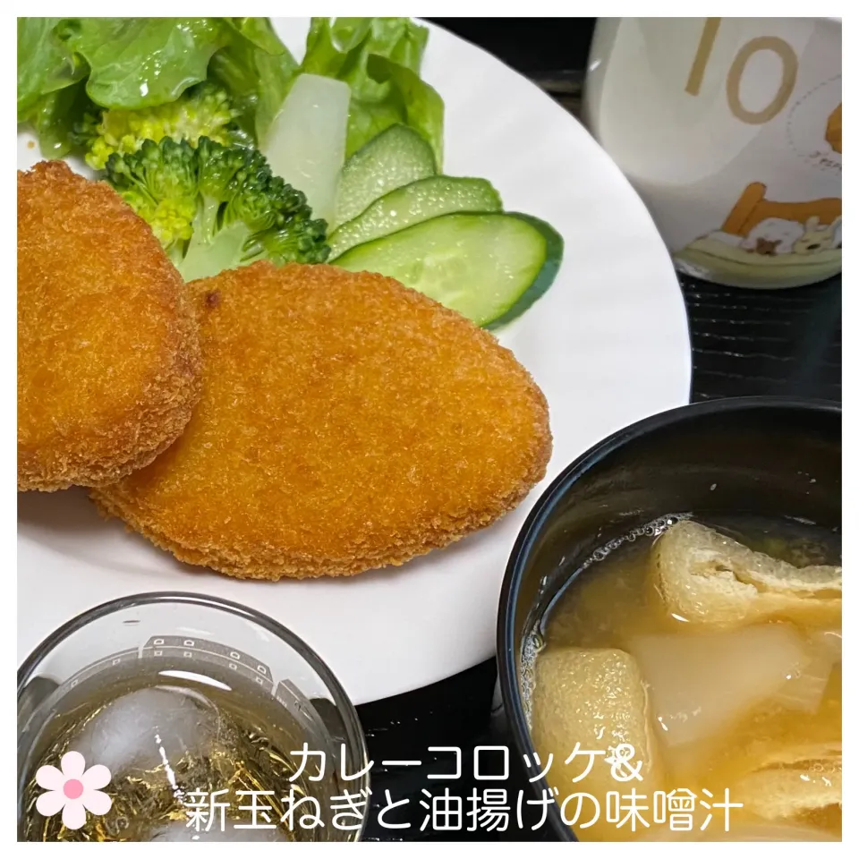 カレーコロッケ&新玉ねぎと油揚げの味噌汁|いのっちさん