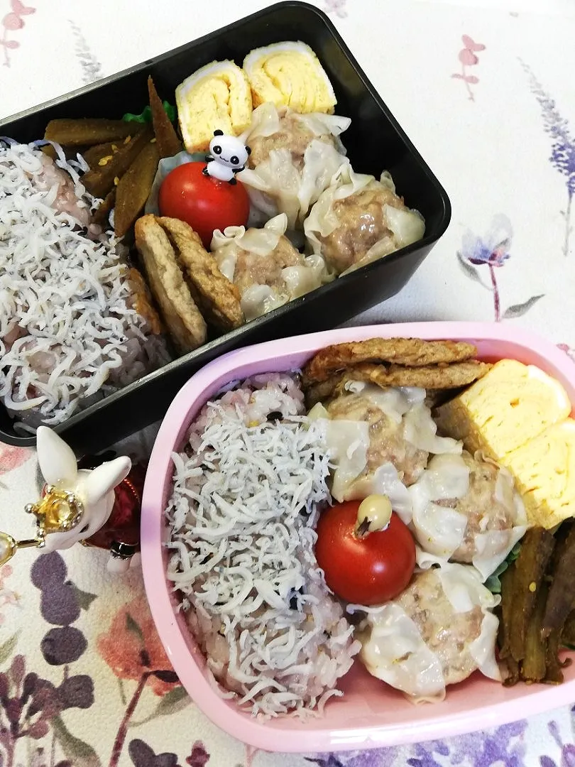 Snapdishの料理写真:''21,4/10
本日のジジババ弁当😋|たえさん