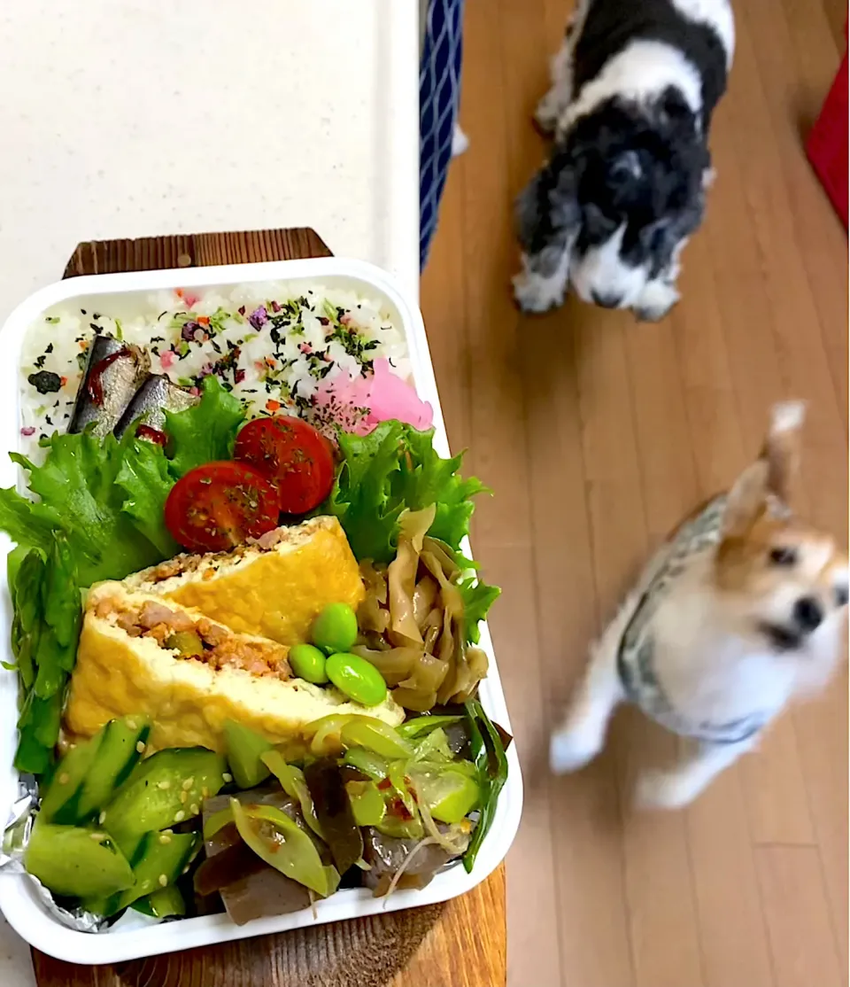 Snapdishの料理写真:土曜日弁当|cafe3733さん