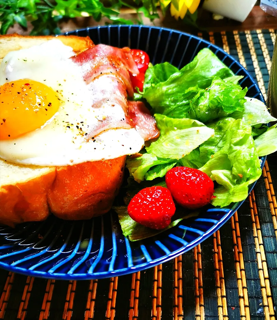 手作り食パン🍞で朝ごパン〜☕🥗|ペンギンさん