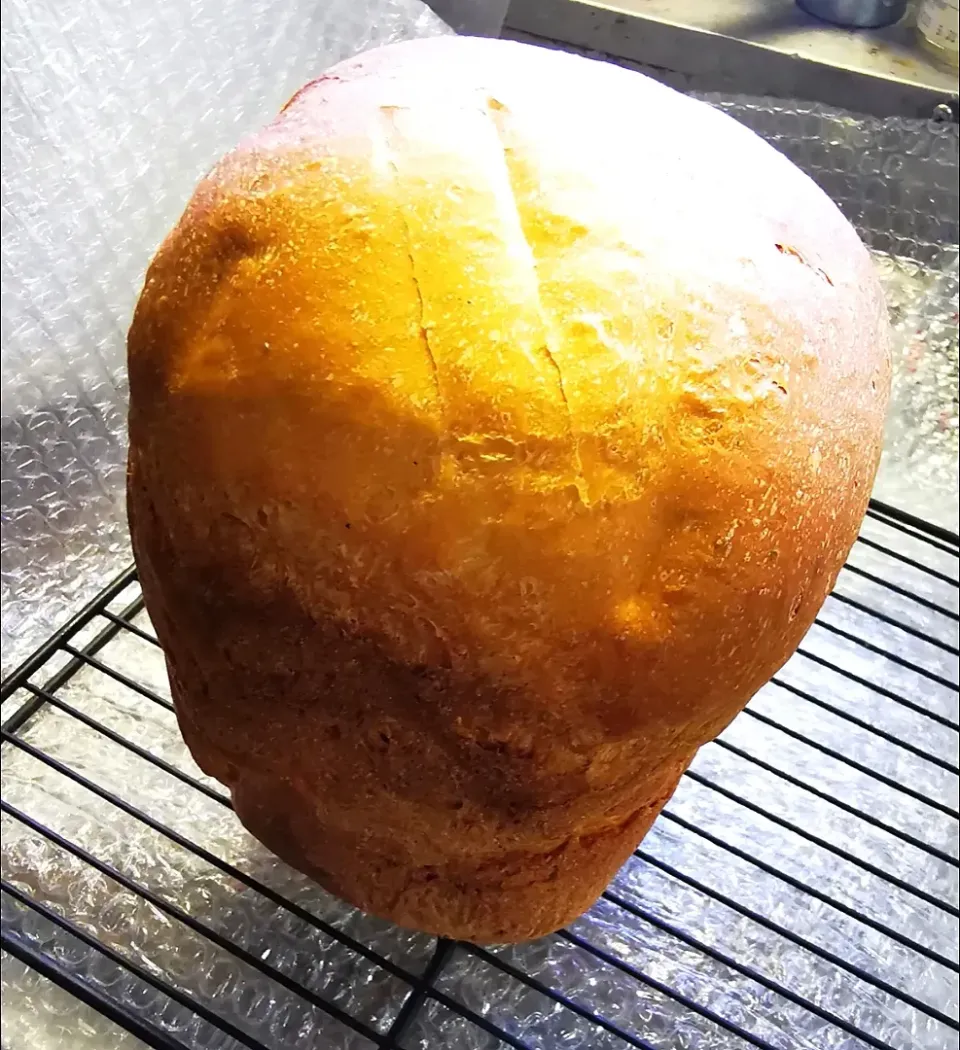 食パン🍞焼けました👍|ペンギンさん