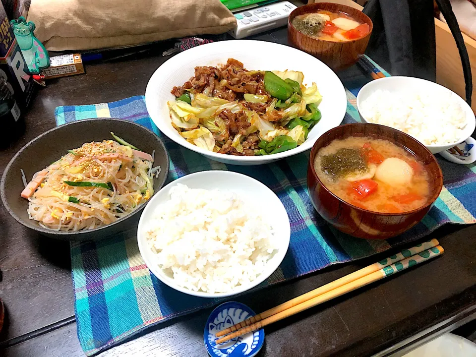 晩ごはん★回鍋肉、春雨サラダ、みそ汁、ごはん|ハルさん