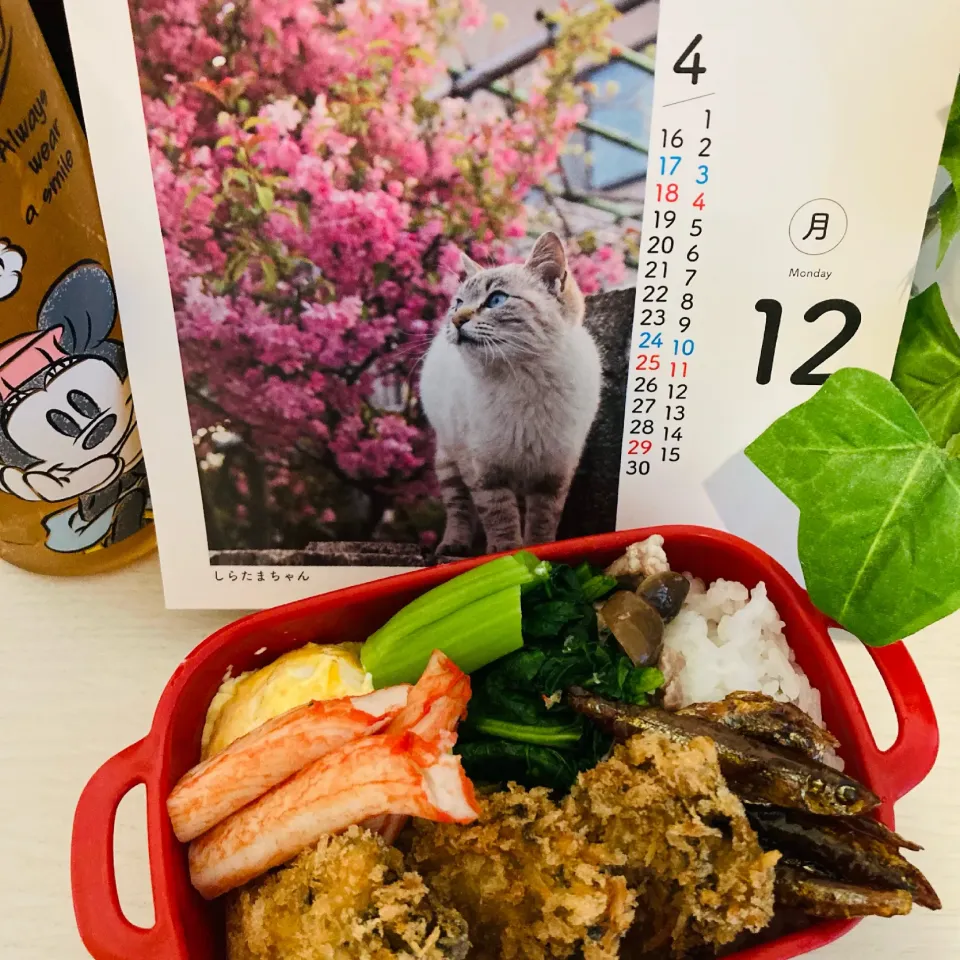 Snapdishの料理写真:20210411🍱今日の自分弁当🍱|akiyo22さん