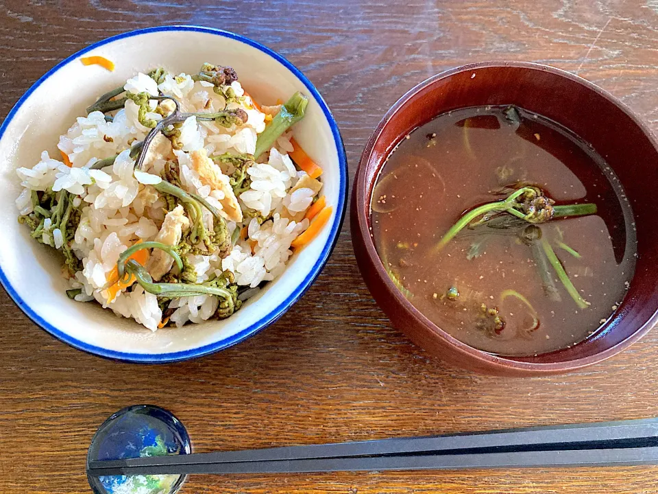 わらびご飯、わらびのお味噌汁|カドラさん