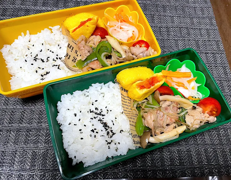 Snapdishの料理写真:豚肉ピーマンオイスターソース炒め弁当|mettiさん