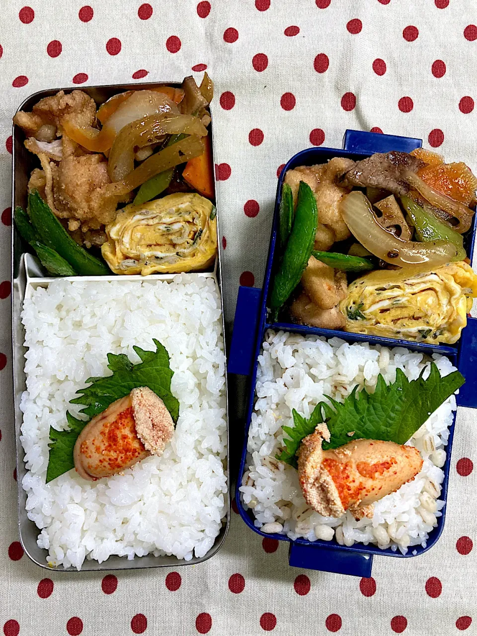 4月13日　久々雨の日 弁当🍱|sakuramochiさん