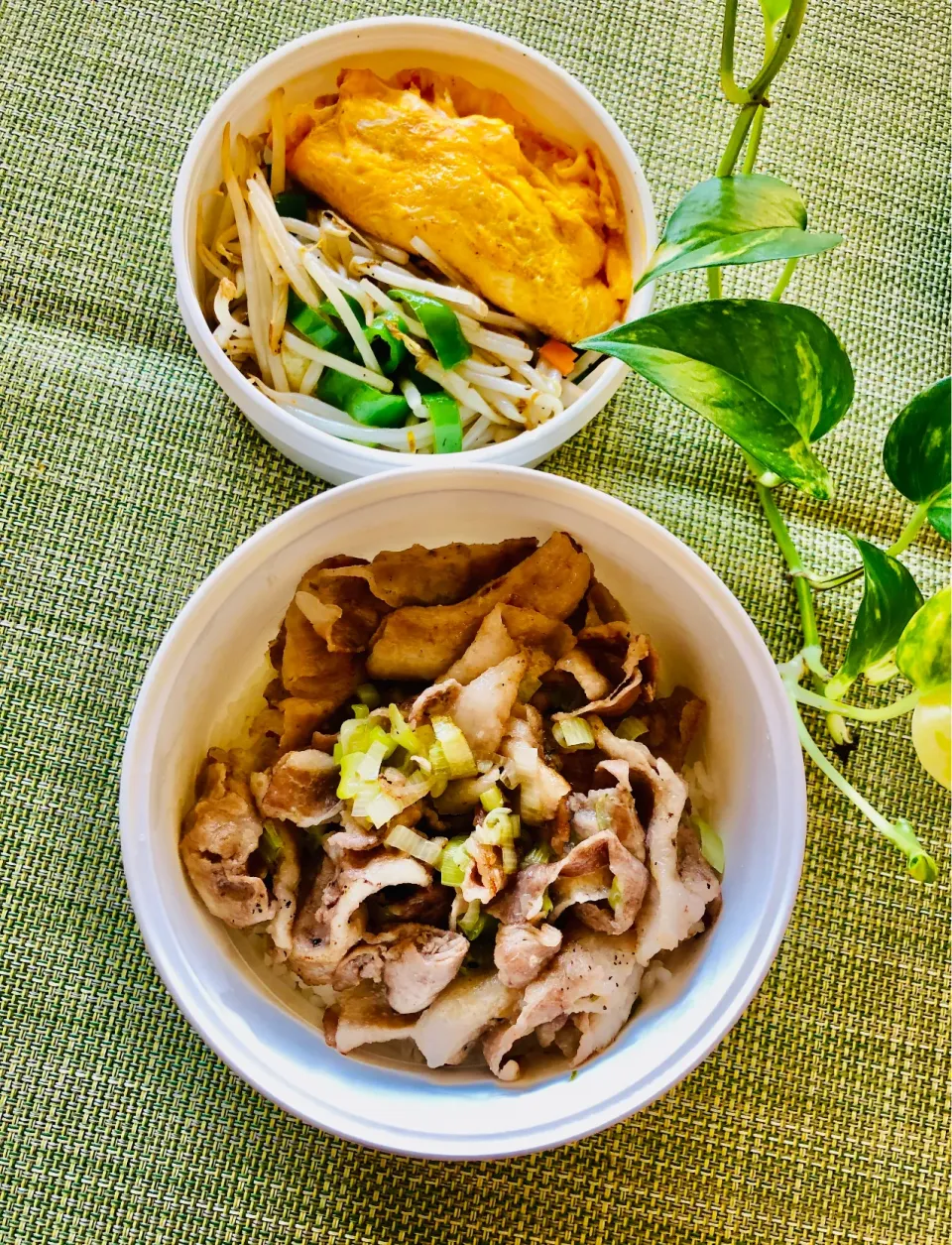 塩豚丼・野菜炒め、和風オムレツのお弁当|＊ayabianさん