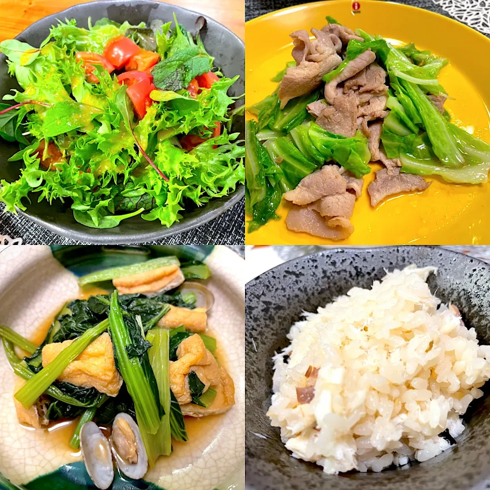 Snapdishの料理写真:鯛めし、豚肉と春キャベツの炒め物、小松菜とあさりの煮物とサラダの宴|なお🅿️さん