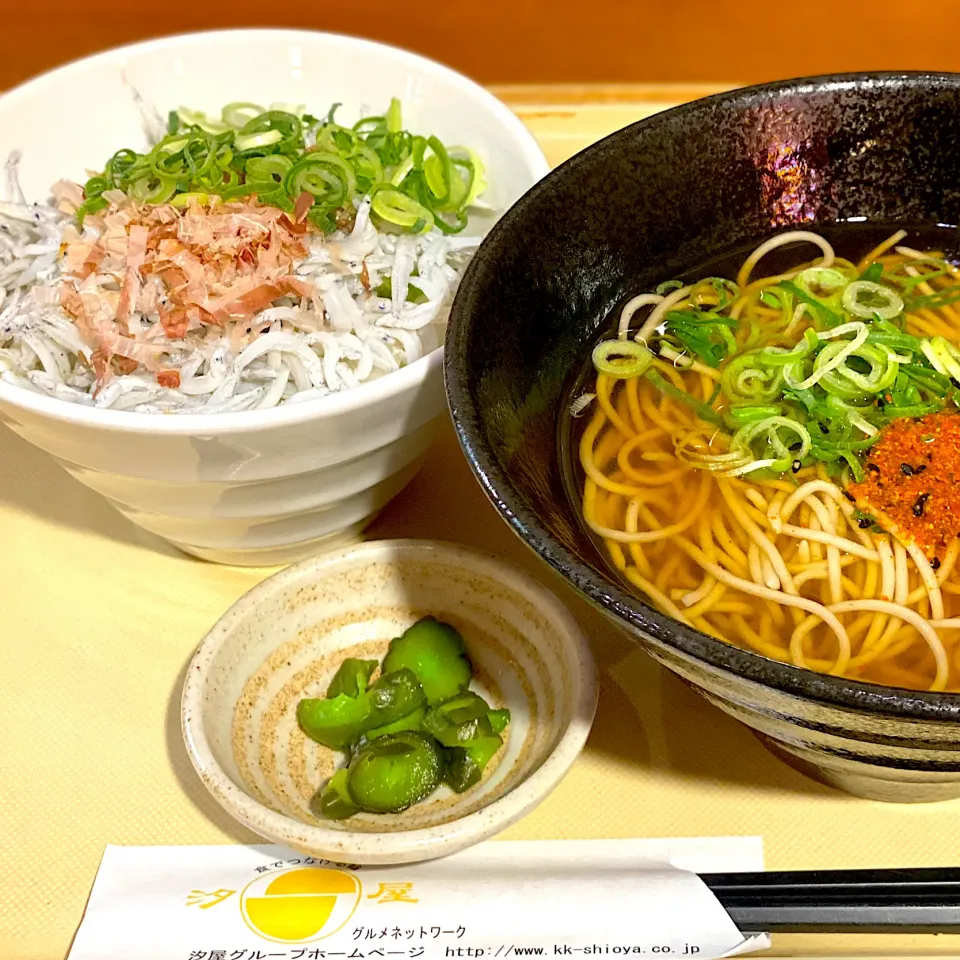 ミニしらす丼＆掛け蕎麦セット|にゃあ（芸名）さん