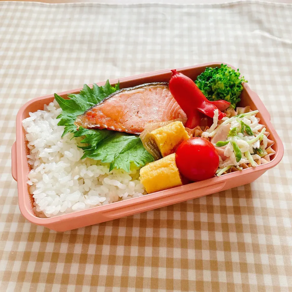 Snapdishの料理写真:2021/4/13 今日のお弁当|kimiさん