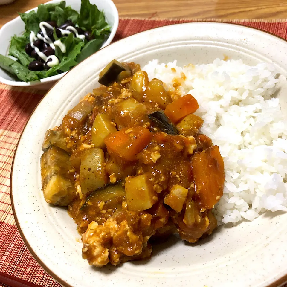 2021/04/13 鶏ミンチと茄子のトマト缶カレー、黒豆サラダ|kykyさん